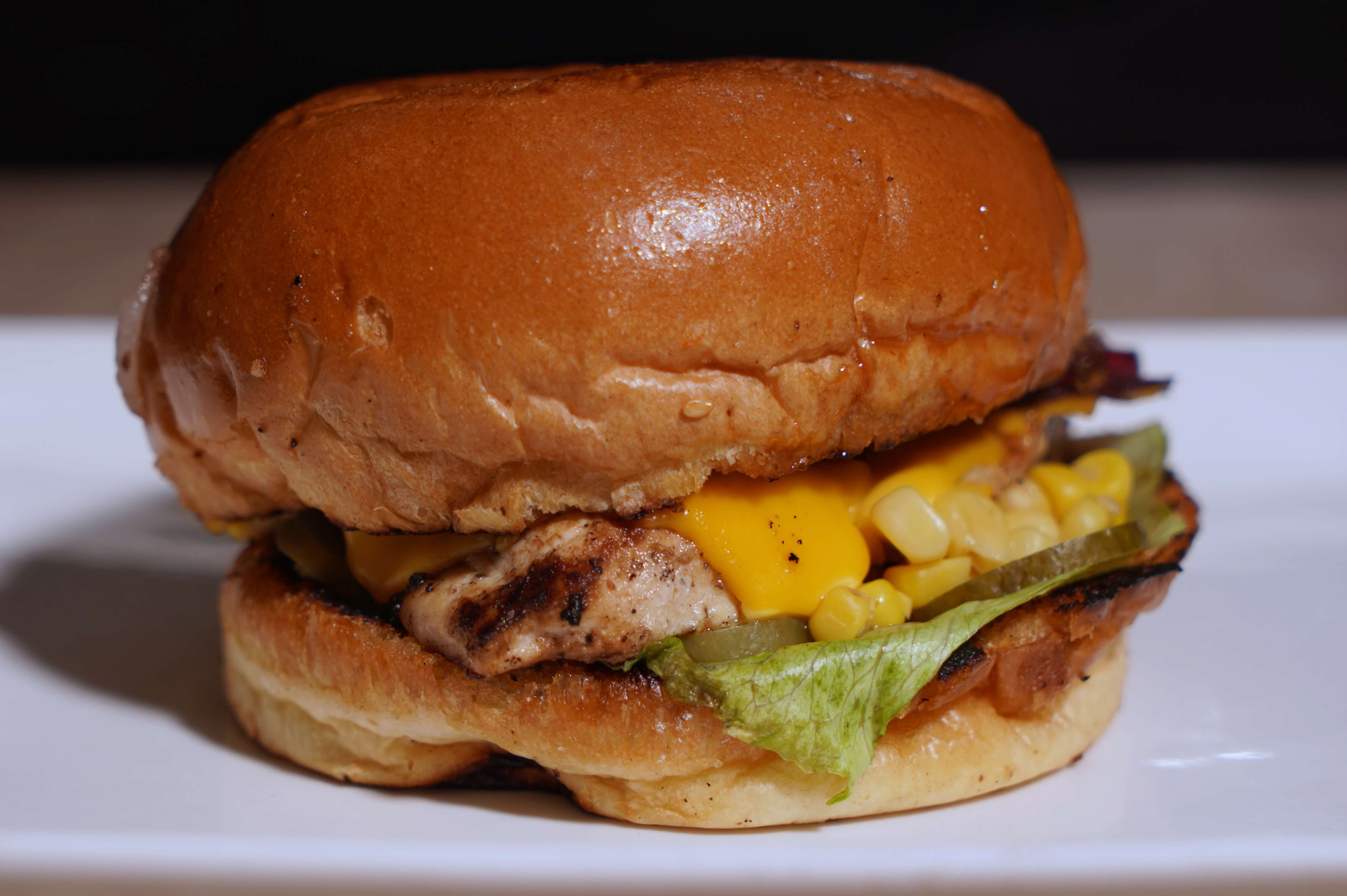 Turkey Chicken Breast